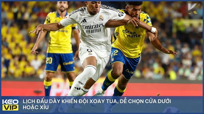 Lịch đấu dày khiến đội xoay tua, dễ chọn cửa dưới hoặc xỉu